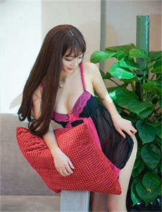 金瓶风月